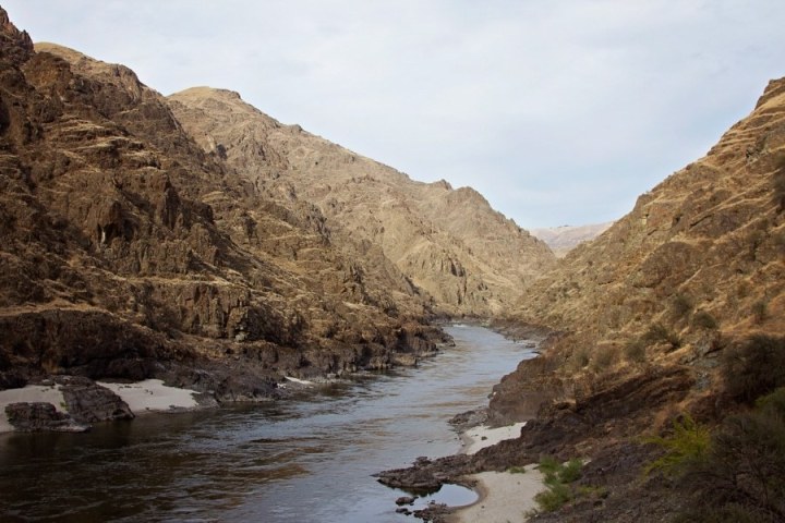 a rocky river with trees on the side of a mountain